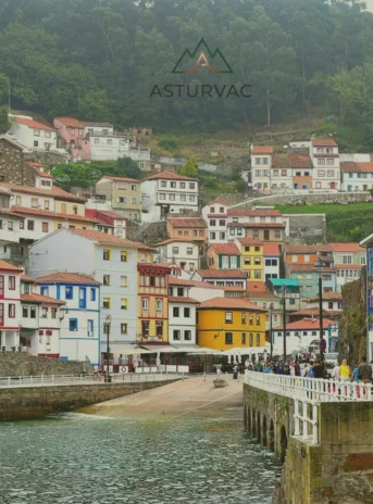 Imagen paquete 2 Asturvac