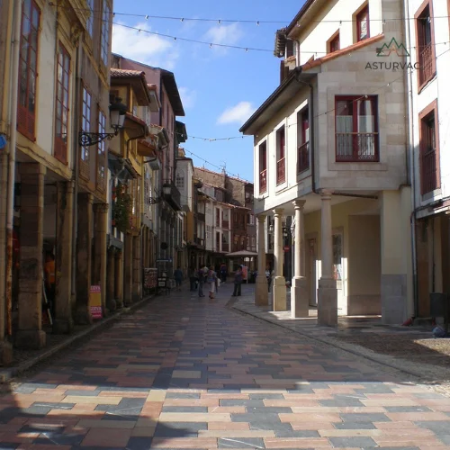 Imprescindibles asturianos 1