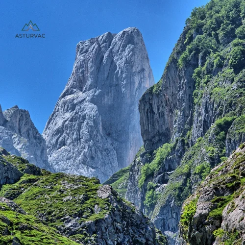 Naturaleza y lujo 2 Naturaleza y lujo 2