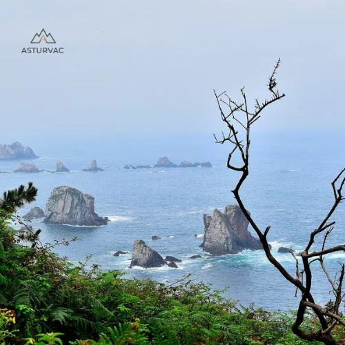 Pura costa asturiana 4 Pura costa asturiana 4