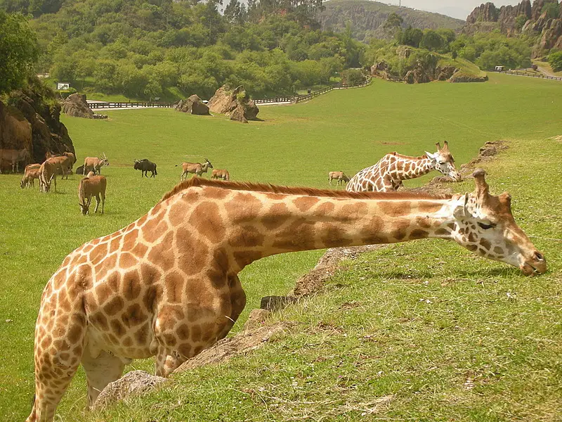 Parque de la Naturaleza de Cabárceno en Cantabria